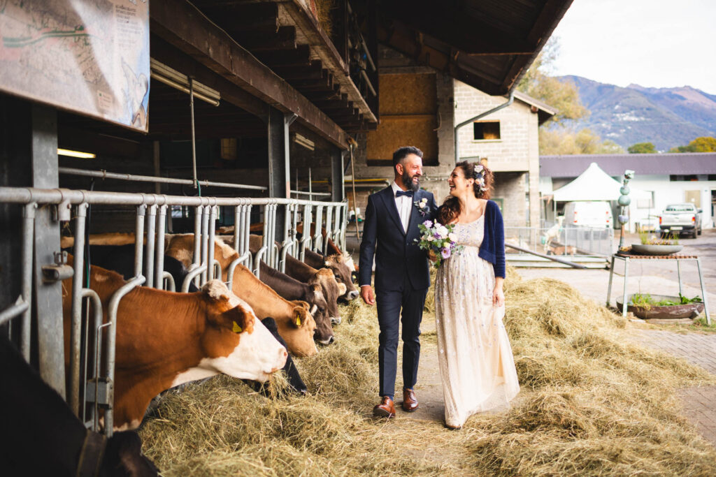 Reportage fotografico matrimonio in fattoria sul Piano di Magadino in Ticino