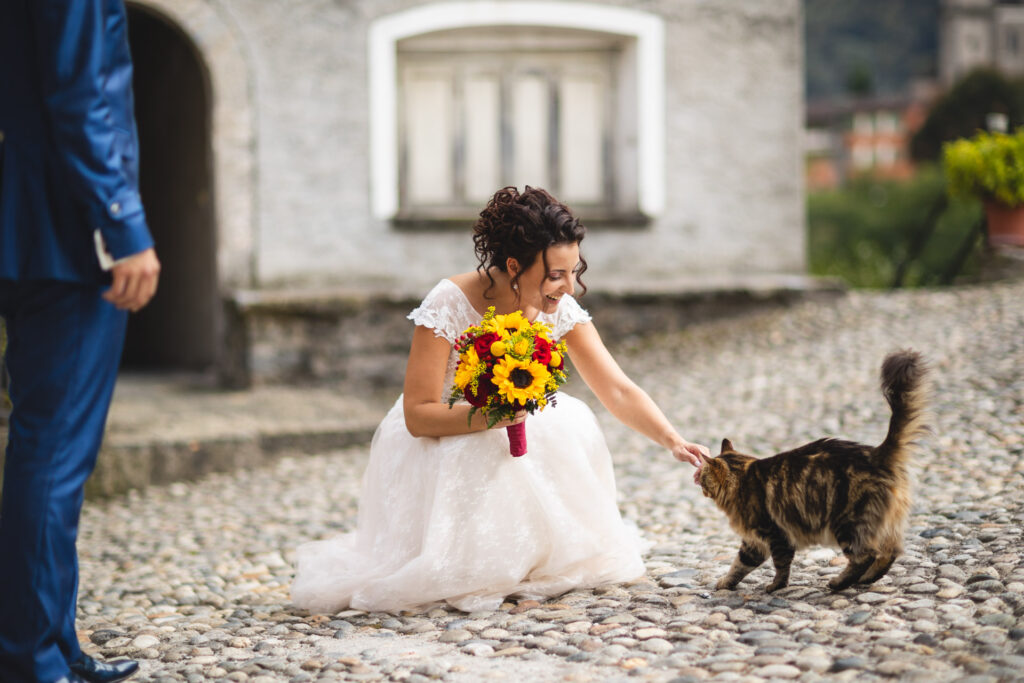 Sposa con gatto durante reportage fotografico a Giornico in Leventina